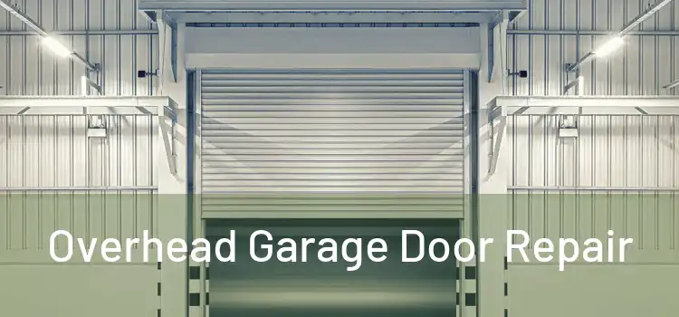  Overhead Garage Door Repair 